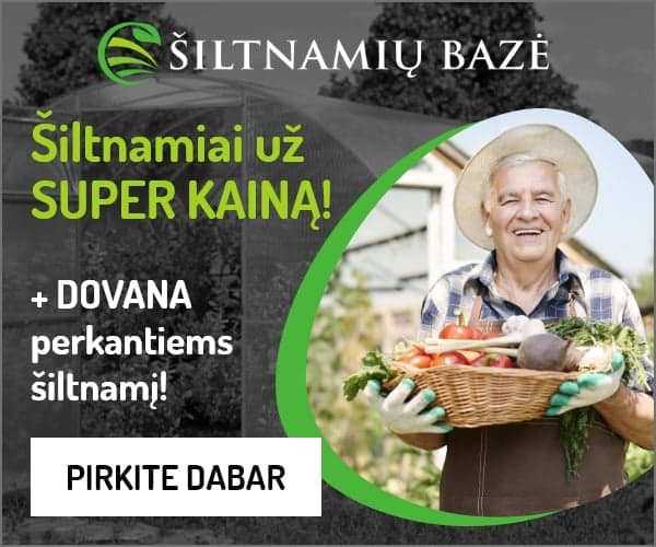 https://siltnamiubaze.lt/