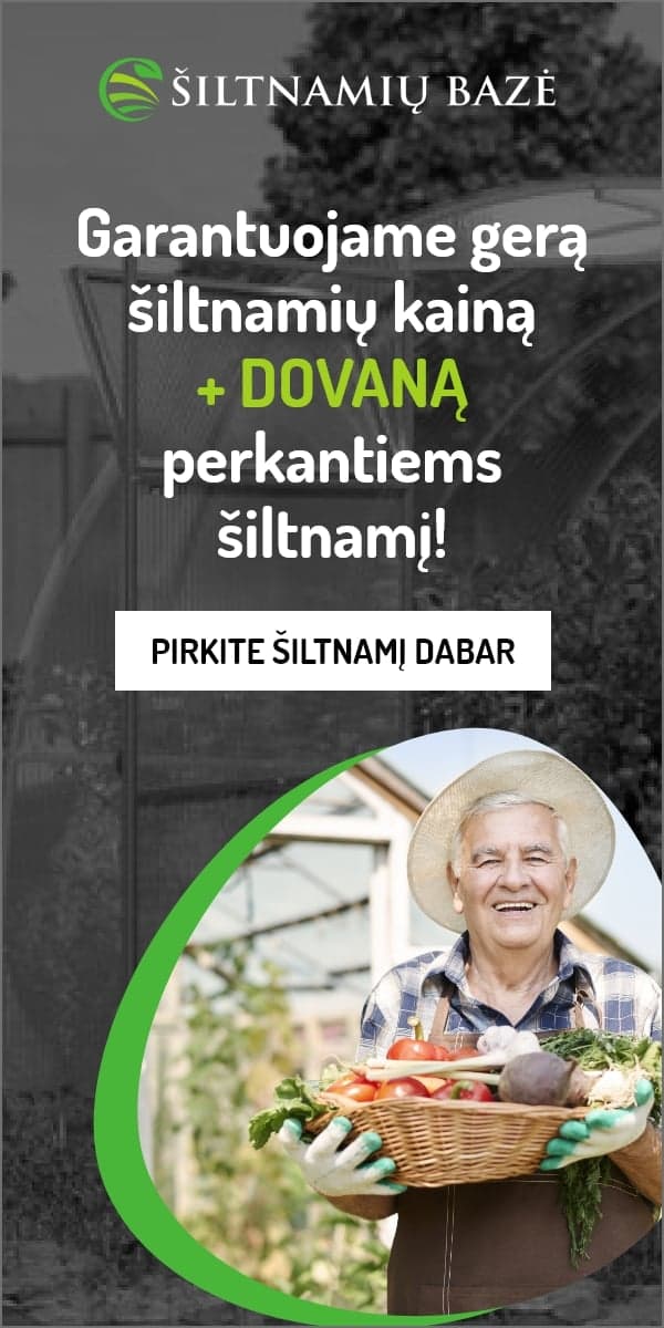 https://siltnamiubaze.lt/
